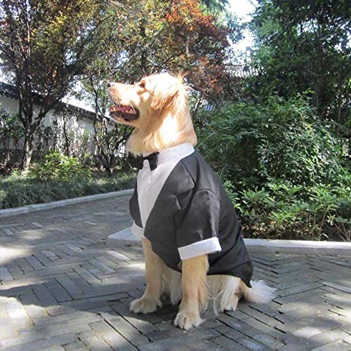 VISTANIA La Ropa Grande del Traje De Boda del Perro, Smoking Grande del Perro Disfraza Los Trajes Formales del Partido, El Perro Perdiguero De Oro Apto, Pitbull, Labrador, Samoyedo,XL