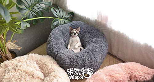 Vivi Bear Cama de Gato Cama de Perro Extra Suave Cómodo Lindo,Cojín de Gato Lavable de la Cama,Lecho Ovalado de Cueva de anidación Adecuado para Gatos y Perros pequeños y medianos(70 cm de diámetro)