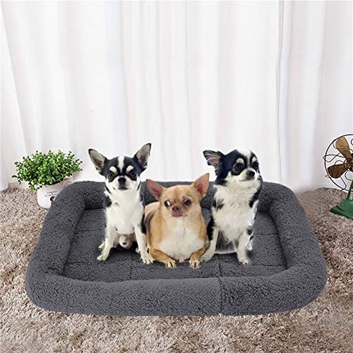 WeiCYN For Calentar la Perrera Pequeña Mediana Grande Mat Perro Perros Otoño Invierno Mat Cama Admite Prueba de Humedad calientan de la casa de Perro (Color : Blue, Size : 50x37cm)