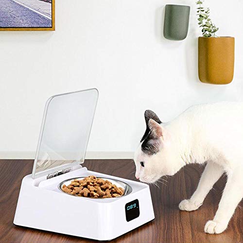 ZPF Alimentador Inteligente por inducción de Infrarrojos, Cuencos para Perros y Gatos, Tapa automática para la Salud del Animal doméstico, Anti cucarachas, Antihumedad, Gatos y Perros General