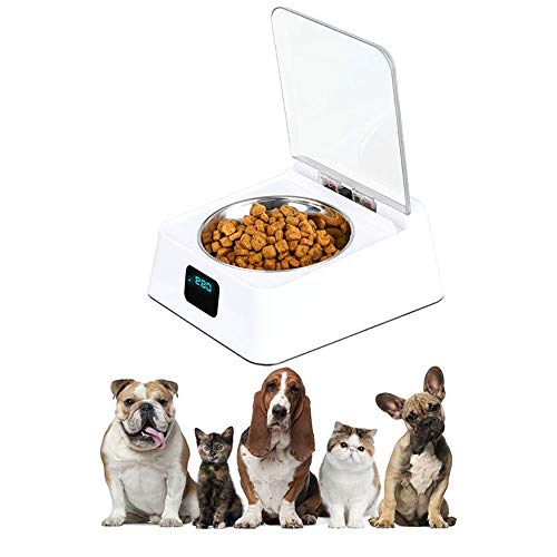 ZPF Alimentador Inteligente por inducción de Infrarrojos, Cuencos para Perros y Gatos, Tapa automática para la Salud del Animal doméstico, Anti cucarachas, Antihumedad, Gatos y Perros General