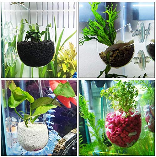 2 PCS Copa de acuario con4 espesas potentes lechón para Acuario de Acuario Decoración de Acuario