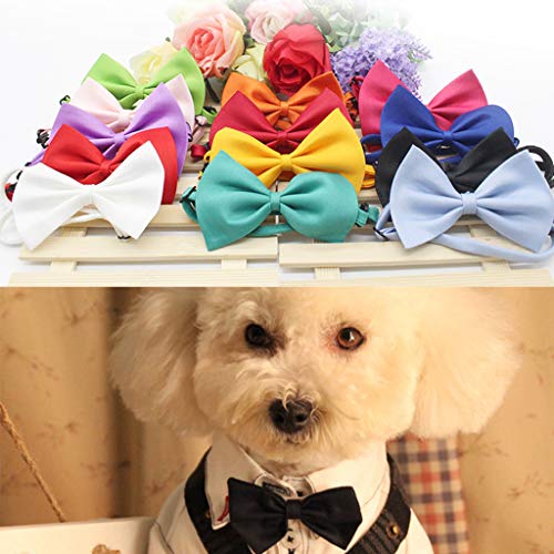 30 pajaritas para perros, cachorros, gatos, collares, corbatas ajustables para mascotas, niños pequeños, niñas, perros