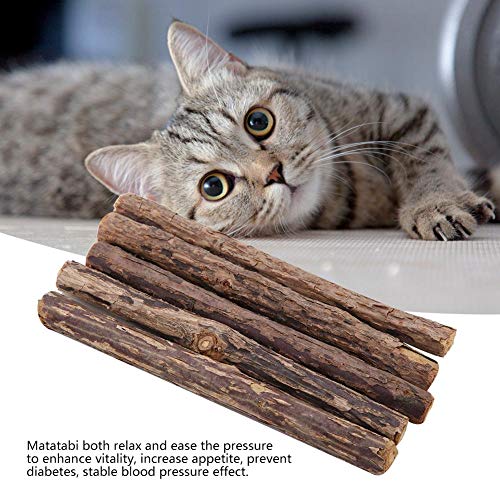 5 uds, palo de masticar para gatos, matatabi Natural, palo para masticar hierba gatera, palillo para aperitivos para gatos, juguete para masticar gato, juguete natural para gatos con hierba gatera