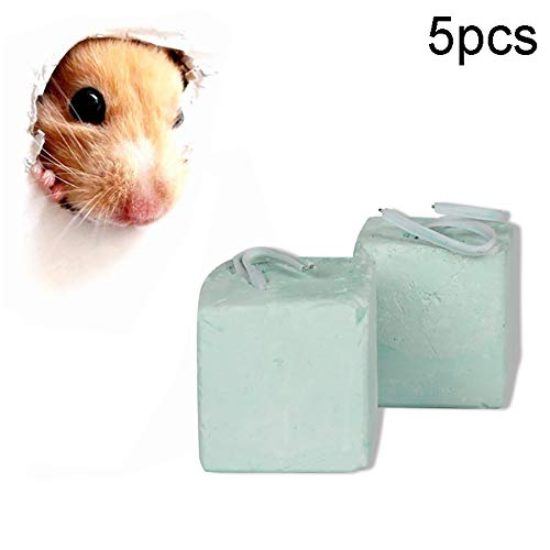 5pcs Hámster Chew Toy Dientes De Lava Molienda Plaza De Piedra Mineral De Calcio Chew Toy para Los Hámsters Chinchilla Y Otros Animales Pequeños