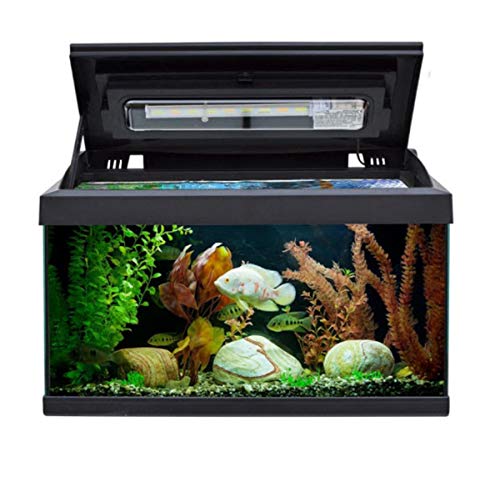 ACUARIOS ACUARIO STARTER DE 60 LITROS CON TAPA Y LUZ LED