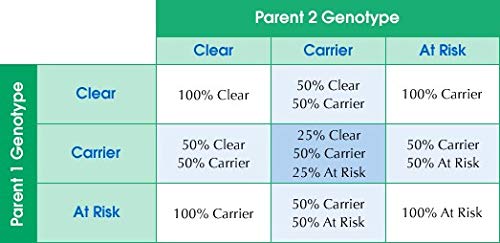 AffinityDNA Dog Pra-prcd Prueba de ADN - Kit de colección de muestras para 1 canino - Prueba de atrofia retinal progresiva