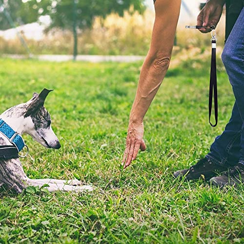 AirSMall 3PCS Silbato para Perros con Banda de Silbato Entrenamiento Profesional de Ultrasonido Control de Cuerda Ajustable de Alta Frecuencia Obtenga y Deje de Ladrar para Adiestramiento de Perros