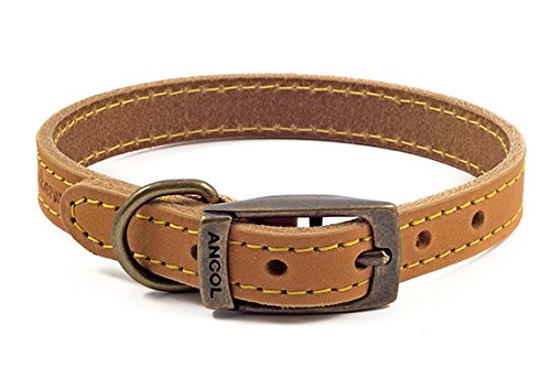 ANCOL Timberwolf Collar de Piel para Perro, 20 – 26 cm, Mostaza