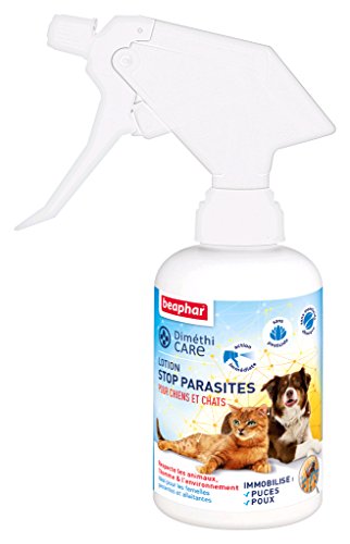 Beaphar DimetiCARE - Loción parásitos para Perro y Gato, 250 ml