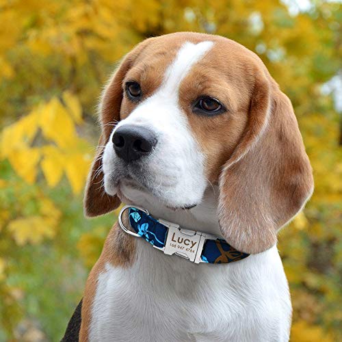 Beirui - Collar ajustable para perro con placa de identificación personalizable y hebilla de liberación rápida; para perros pequeños, medianos y grandes. Tallas S, M y L