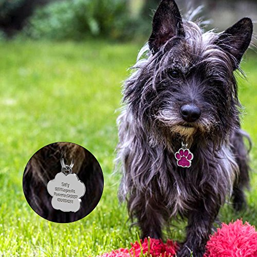 Beirui Placas de identificación Huellas Personalizadas en Acero Inoxidable de 24 mm para Perros y Gatos, con Grabado láser, Rosa, S (0.9" diámetro)