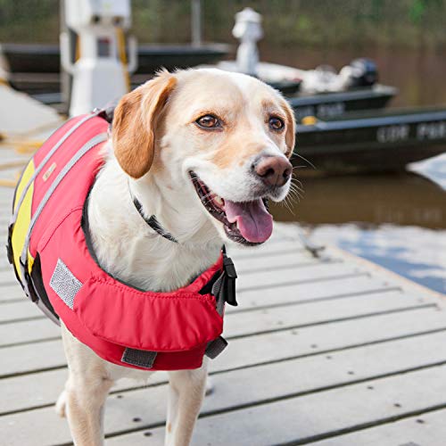 Bella & Balu - Chaleco salvavidas para perros - Chaleco reflectante para perros para la máxima seguridad en el agua al nadar, vela, surf, SUP, excursiones en barco, kayak y canoa (talla L)