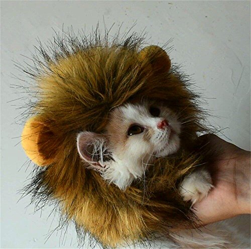 Bello Luna Lion Mane para Gato y Perro pequeño Disfraz de Gato Fancy Lion Hair para Halloween Christmas-M