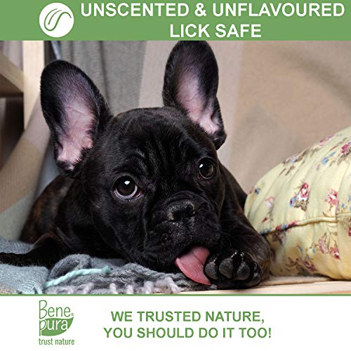 Bene Pura Trust Nature Bálsamo para Mascotas 100% Natural Anti-irritación - para Patas, Nariz y Piel - para Perros y Gatos