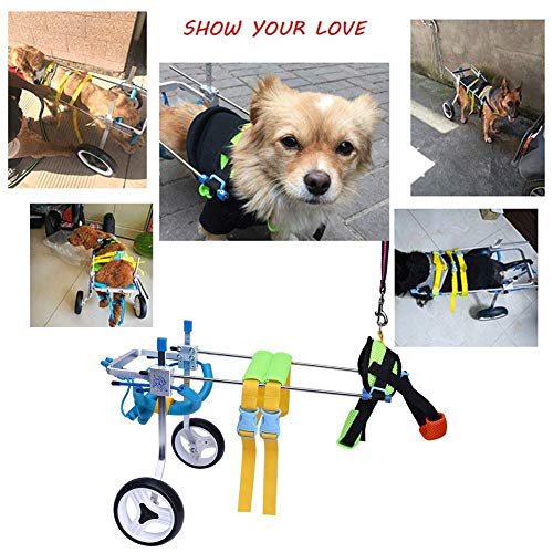 BEST WALKING Carrito para Silla De Ruedas para Mascotas Aluminio Peso Ligero Ajustable para Discapacitados Gato Perro Patas Traseras Caminar XXS-XL