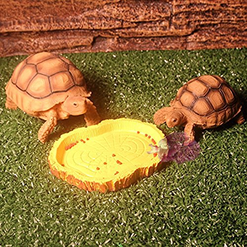 BETTASHOP.ES Plato COMEDERO para Tortugas Y Reptiles