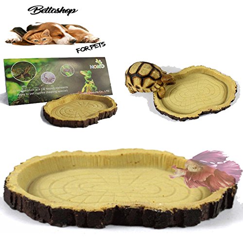 BETTASHOP.ES Plato COMEDERO para Tortugas Y Reptiles