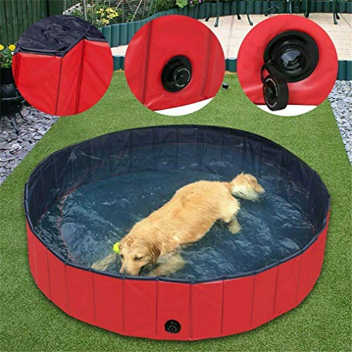 Bingopaw Piscina Plegable para Mascotas Bañera Portátil para Perros y Gatos Material de PVC Antideslizante y Resistente Adecuado para Interior al Aire Libre (120 x 30cm)