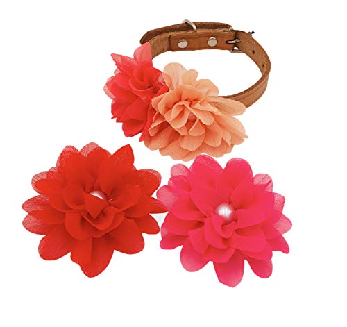 BIPY 4 collares de 8 cm para niñas pequeños y niñas, accesorios de fijación de diapositivas, lazos de flores, colgantes decorativos para disfraces de aseo de mascotas y gatos