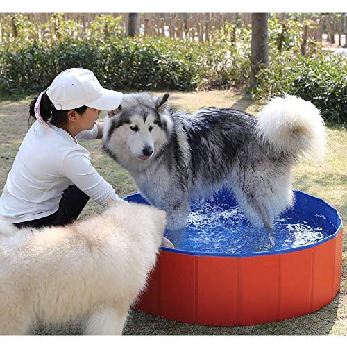 Boehner Piscina Plegable para Perro Cachorro Gatos Mascotas niños niños Bola Agua estanques de baño bañera