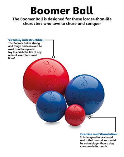 Boomer Ball