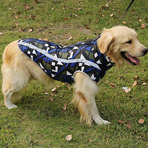 BT Bear Abrigo para Perros cálido, Ropa de Invierno para Perro, Suave, Ligero, Impermeable, Acolchado, para Perros pequeños, medianos, Grandes