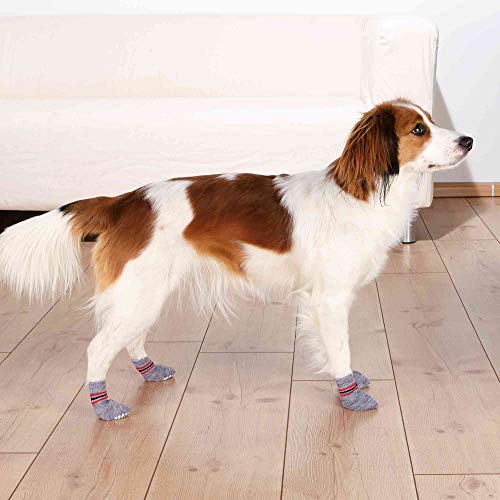 Calcetines Perro, Antideslizante, XS-S, 2 ud, Gris