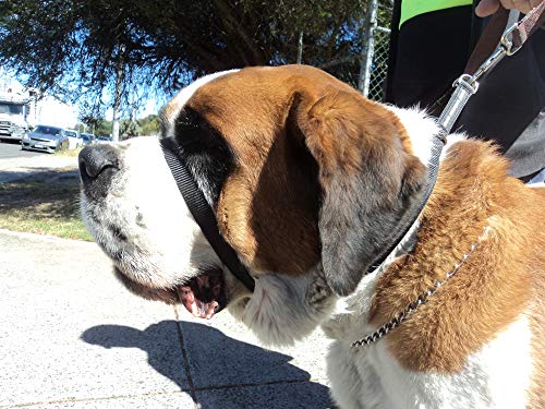 Canny Colossus Collar: Collar de Perro Cómodo y Duradero, Collar Antitirones para Perros Grandes, Simple y efectiva con el Entrenamiento del Perro y Evita Que los Perros tiren de la Correa (Negro)