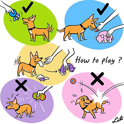 Chiwava 2 Piezas 16,5 cm Squeak Juguetes para Perros Latex Gruñidos de Cerdos Cachorro Masticar Juego Interactivo para Perros Medianos