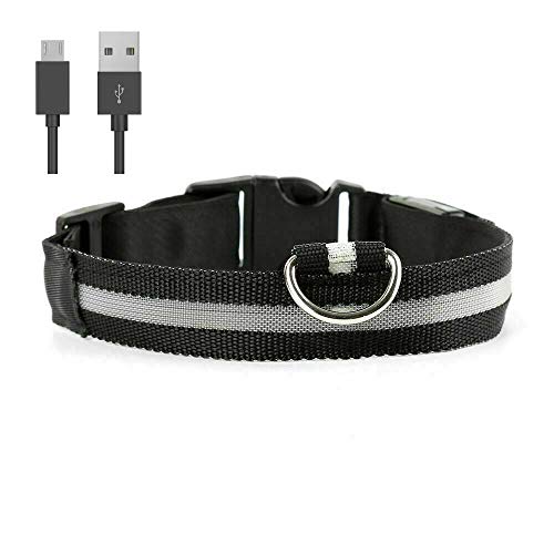 Collar de perro carlino negro LED tamaño S recargable, luz de seguridad iluminada y cable de carga USB