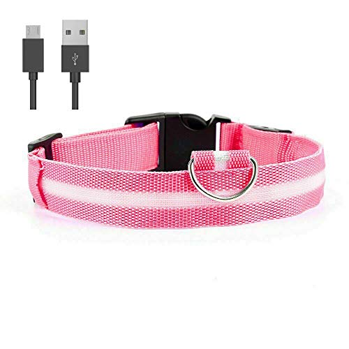 Collar de perro Doberman, color rosa, LED USB, tamaño grande, recargable, con luz de seguridad, luz y cable de carga USB