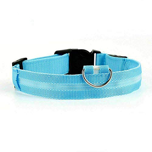 Collar de perro Doberman con luz LED azul, tamaño L, recargable, con luz de seguridad y cable de carga USB