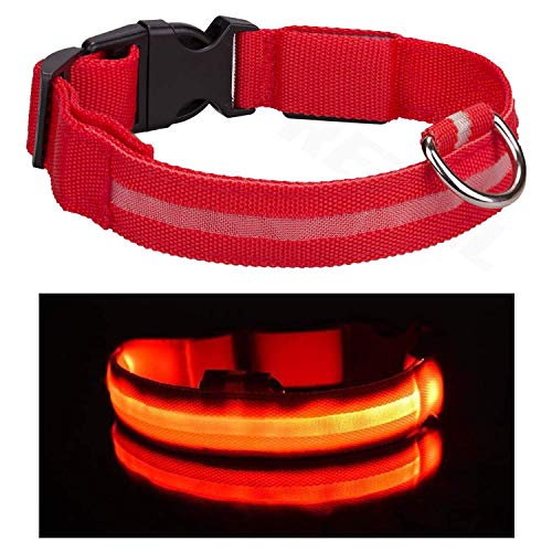 Collar de perro Doberman con luz LED de color rojo, tamaño L, recargable, con luz de seguridad y cable de carga USB