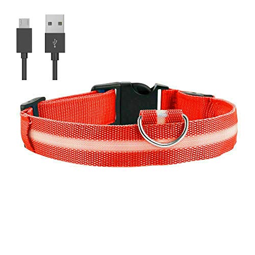 Collar de perro Doberman con luz LED de color rojo, tamaño L, recargable, con luz de seguridad y cable de carga USB