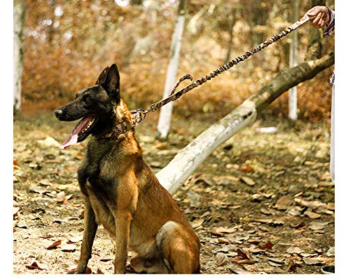 Collares tácticos Nylon para Perros, Nailon Militar Ajustable con Hebilla Doble de Metal en D para Entrenamiento de Perros de martingala MCMCP XL