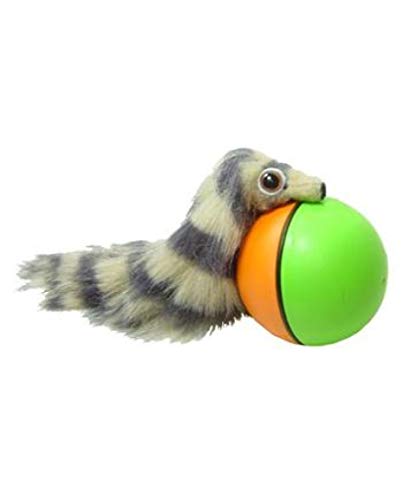 Comadreja con Pelota pequeña, Weazel-Ball