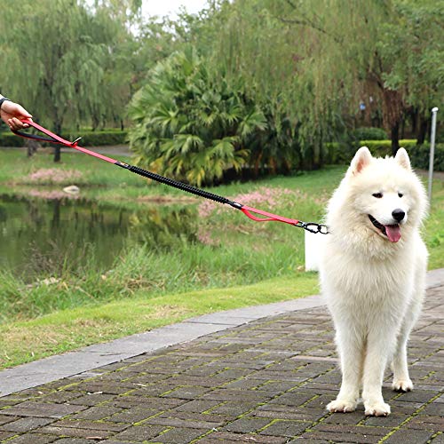 Correa Para Perro, Herrajes A Prueba De Óxido De Aleación De Zinc, Cinturón Amortiguador A Prueba De Explosiones, Asa De Material De Buceo, 2.5 * 155 Cm, Adecuada Para Perros Medianos Y Grandes,Black