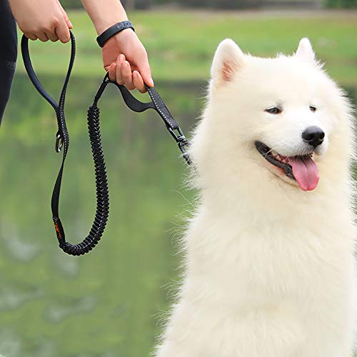 Correa Para Perro, Herrajes A Prueba De Óxido De Aleación De Zinc, Cinturón Amortiguador A Prueba De Explosiones, Asa De Material De Buceo, 2.5 * 155 Cm, Adecuada Para Perros Medianos Y Grandes,Black