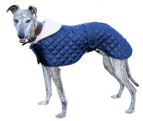 Cosipet - Anorak para Galgo, Azul