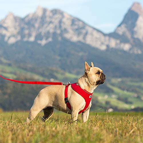 Curli - Arnés para Perro, de Malla Transpirable