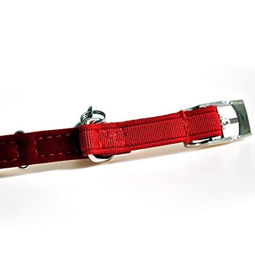 DAIXI Soft Velvet Safe Cat Collar Ajustable Bling Diamante con Campanas, 11 Pulgadas para Perros y Gatos pequeños (Red)