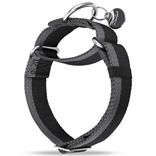 Dazzber Martingala Collar -4cm de Ancho Collares de Perro de Nylon Extra Fuerte, sin tirón Collar de Perro Resistente con Raya de 2 Colores para Perros de medianos a Grandes (Grande, Negro & Gris)