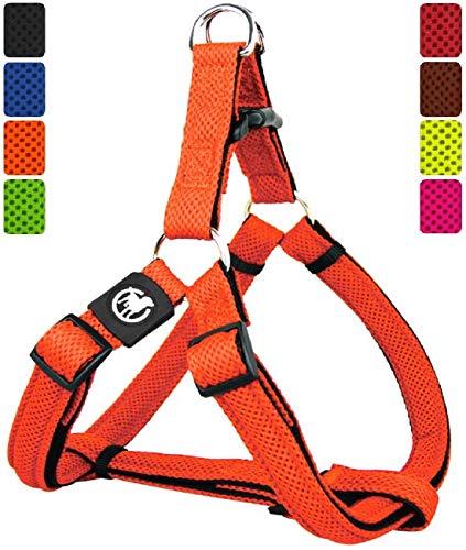 DDOXX Arnés Perro Step-In Air Mesh, Ajustable, Acolchado | Diferentes Colores & Tamaños | para Perros Pequeño, Mediano y Grande | Accesorios Gato Cachorro | Naranja, S