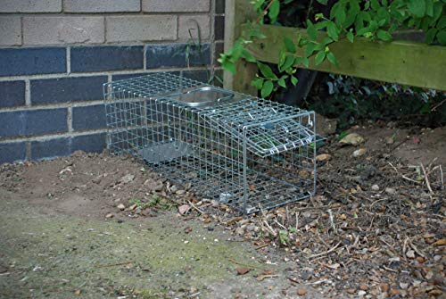 Defenders Animal Trap Cage - (Trampa humana fácil de colocar para ardillas y fauna silvestre de tamaño similar, adecuada para uso en interiores y exteriores) - Tamaño pequeño