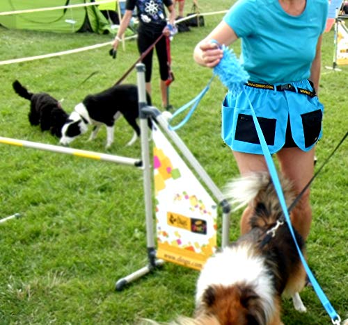 DINGO 16452 - Cinturón de Entrenamiento para Perro, para Entrenador de Agilidad, ayudante, Hecho a Mano en Estilo de Falda Deportiva, Muchos Bolsillos, Color Azul