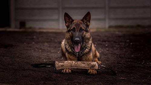 Dingo Gear Beisswurst de yute Training Hundespielzeug apporte con perros diversión formación IGP IPO K9