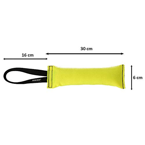 Dingo Gear - Juguete para bocado de Manguera de Juguete para Perro, Color Amarillo, 0,159 kg