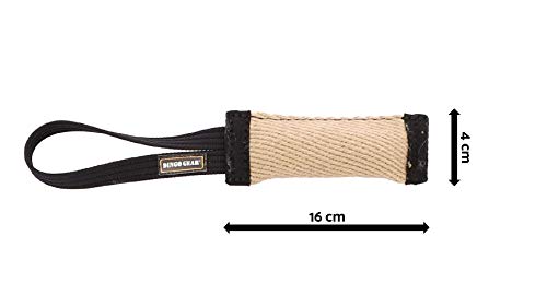 Dingo Gear - Mordedura con 1 asa Reforzada para Entrenamiento de Perros y diversión (16 x 4 cm), Yute