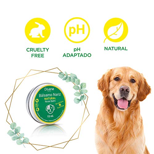 DISANE Bálsamo Nariz Perro Natural 15ml | Crema Nariz Perro | Hidrata, Calma y repara la trufa Seca y Agrietada del Perro | Libre de fragancias y Aromas